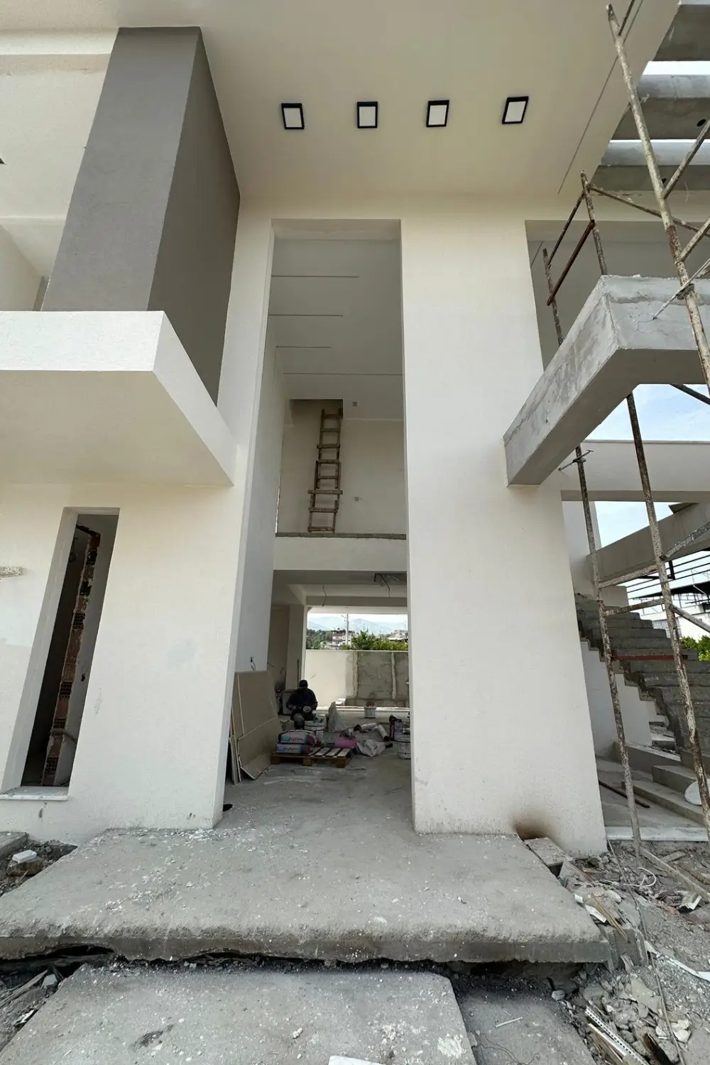 Pivot Steel Doors
