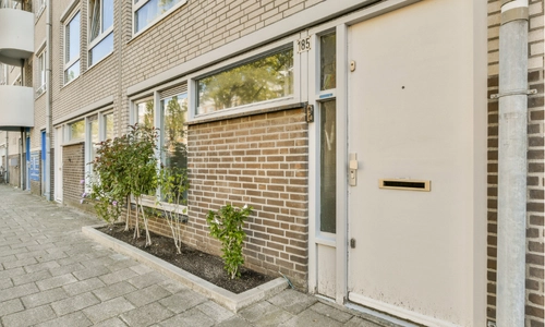 Pivot Dış Giriş Kapı Modeli