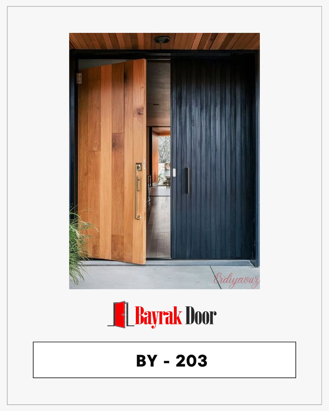 Pivot Kapı Aydın BY-203